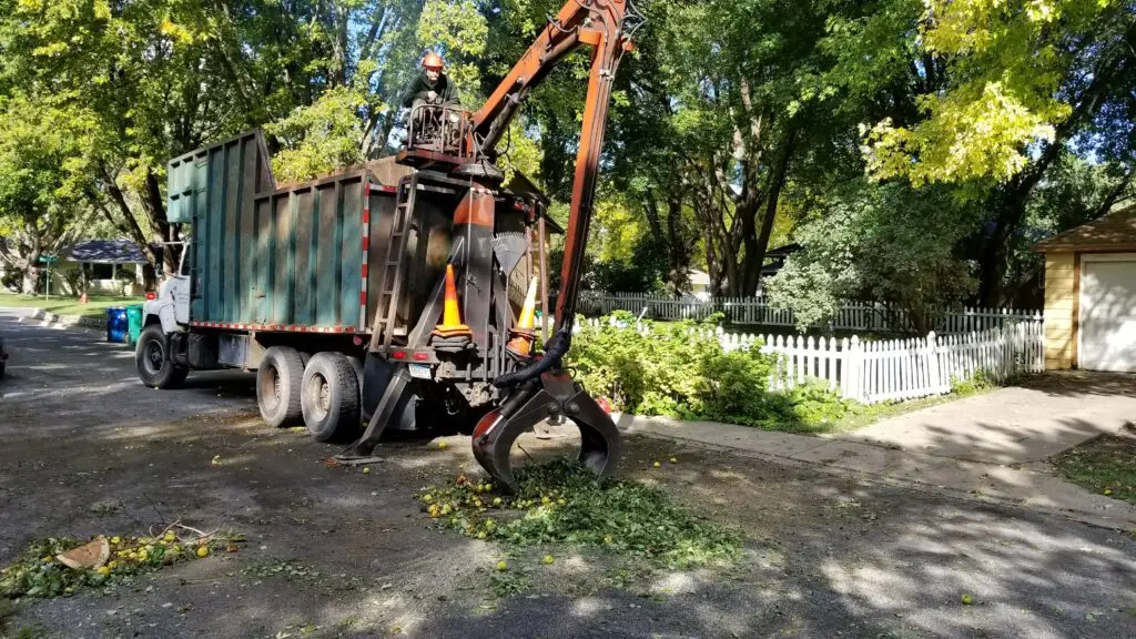 Tree Clearing Services